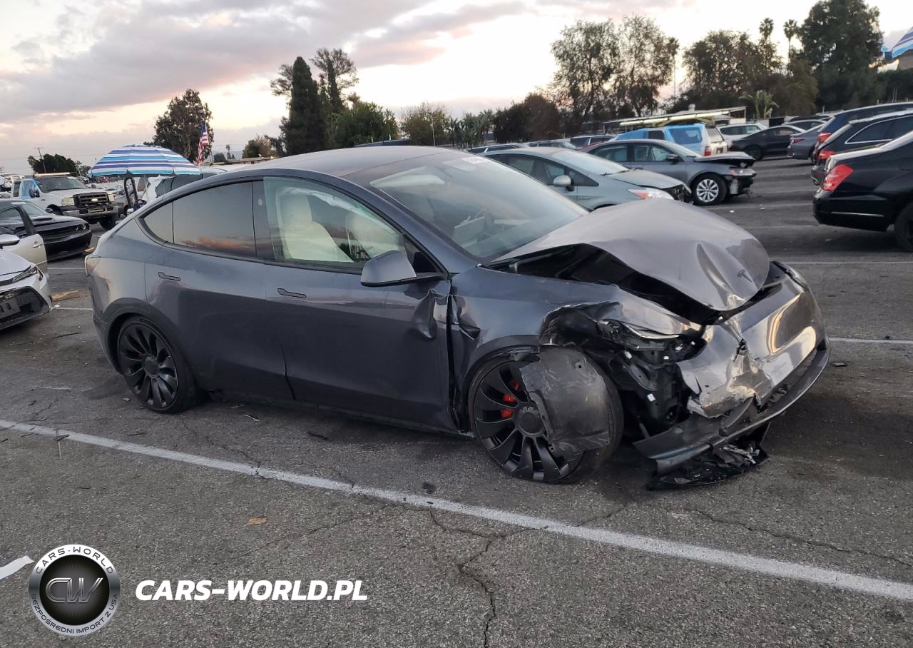 TESLA MODEL Y VIN:7SAYGDEF0PF809287 - 4