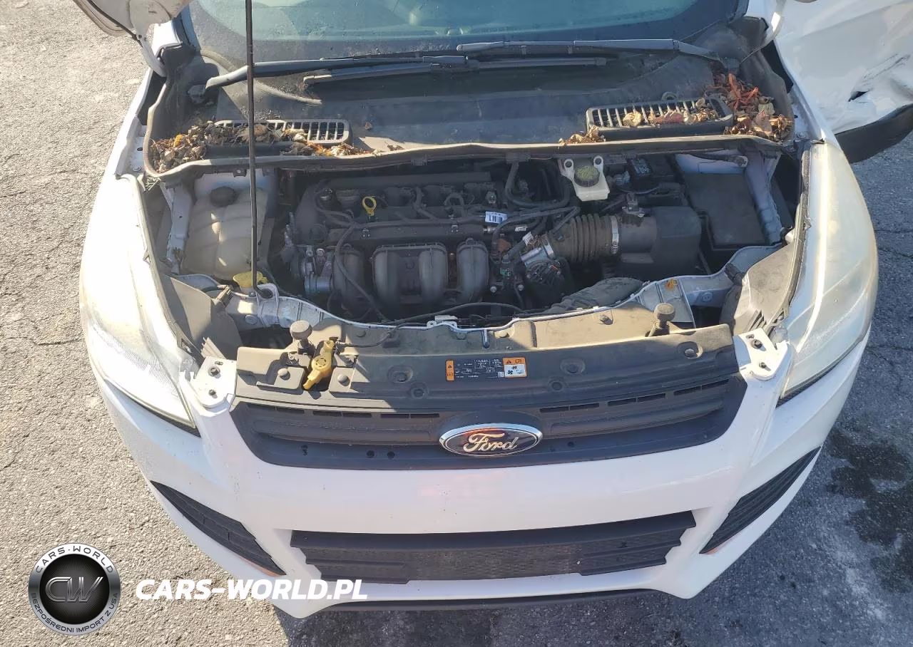 2014 Ford Escape S VIN:1FMCU0F78EUD41826 - 12