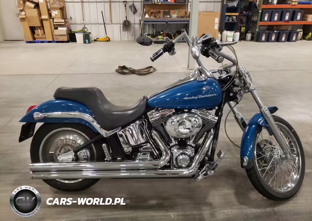 2001 Harley-Davidson Fxstd