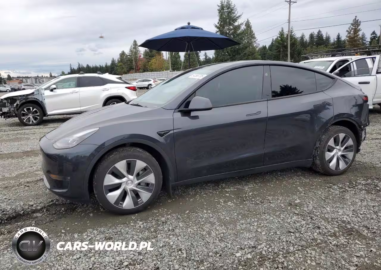 2024 Tesla Model Y
