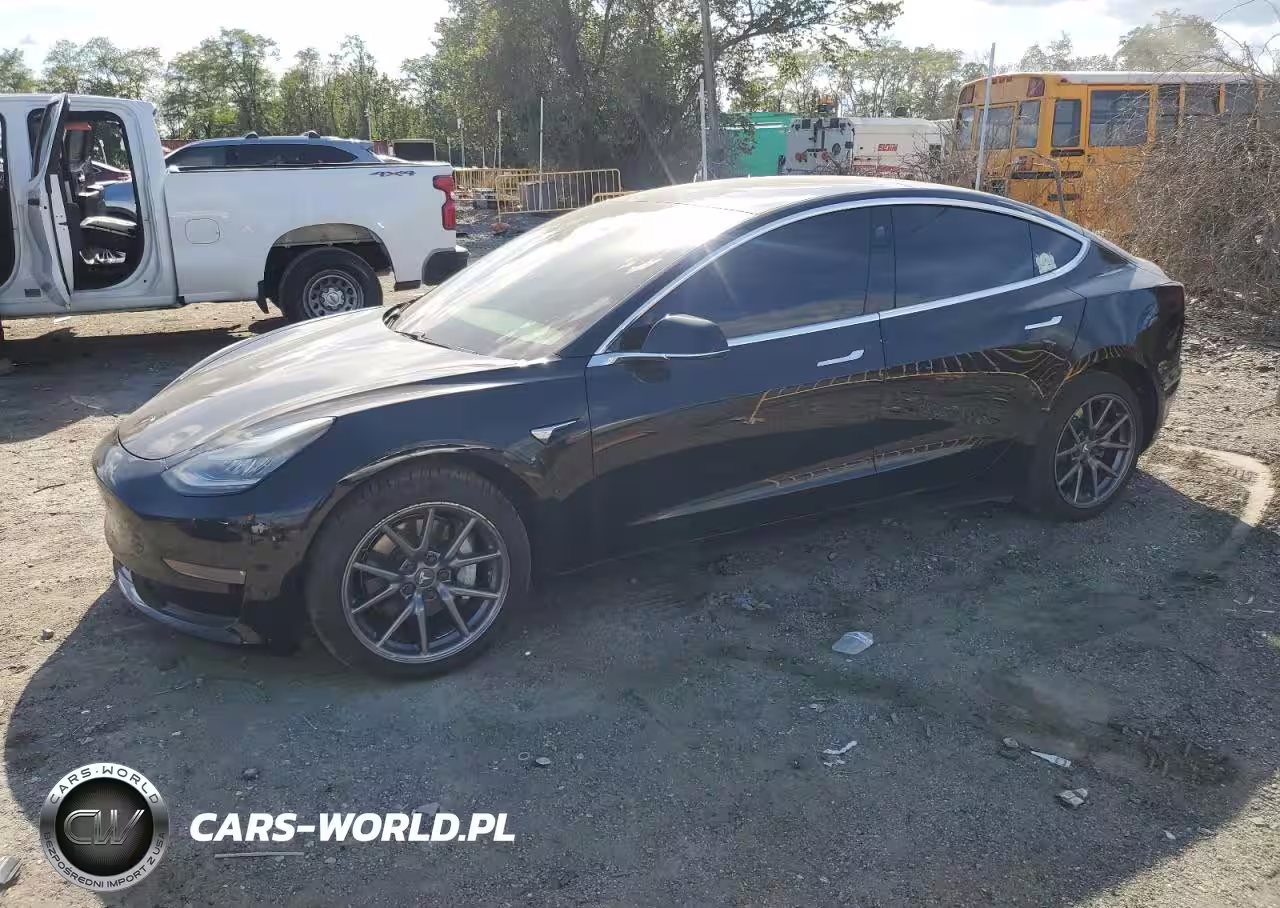2019 Tesla Model 3