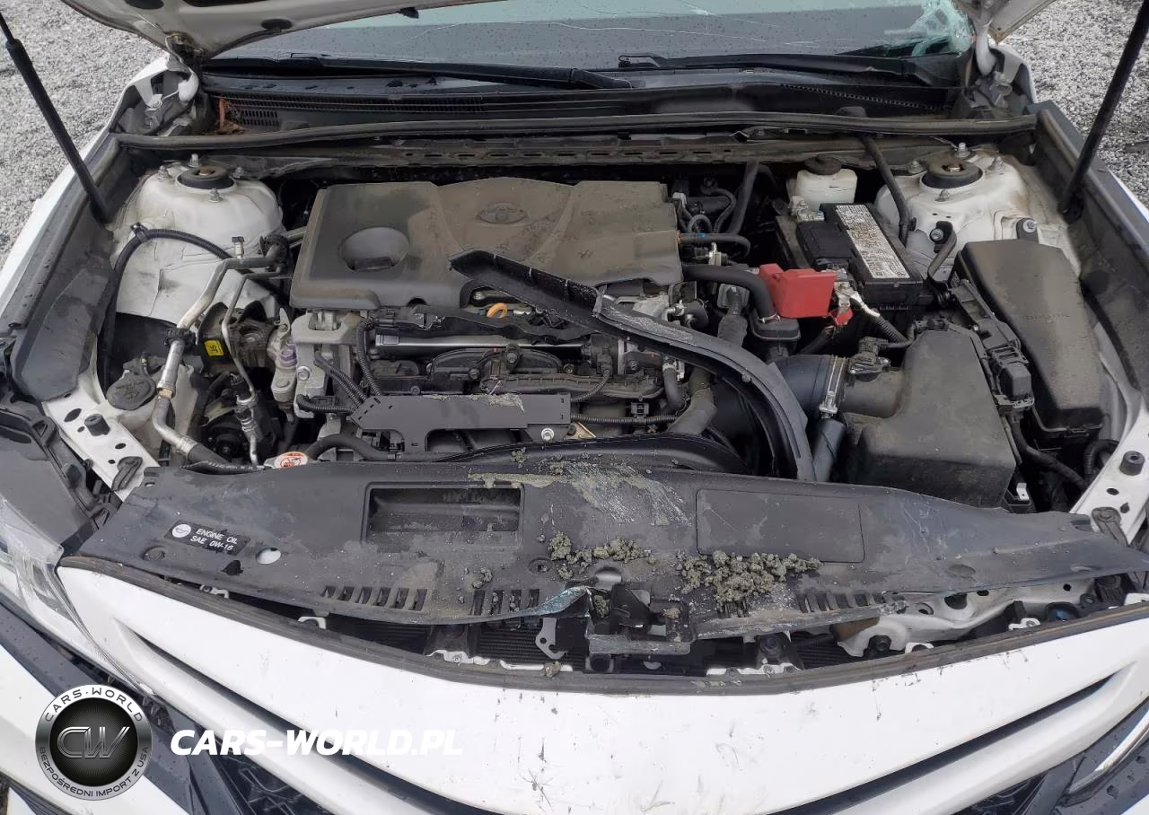 2020 Toyota Camry Se VIN:4T1G11AK4LU983842 - 11