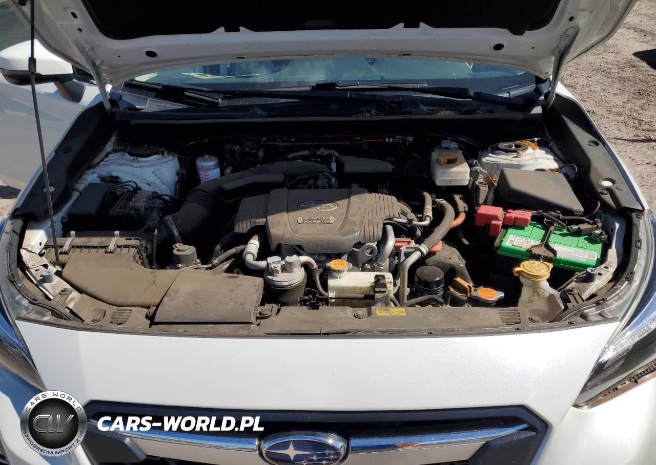2019 Subaru Crosstrek Limited VIN:JF2GTDNC5KH334787 - 12