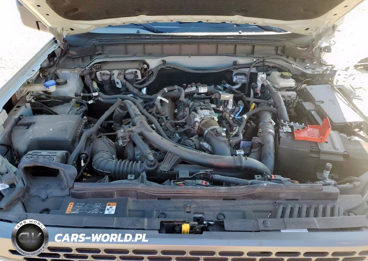 2021 Ford Bronco Base VIN:1FMEE5DPXMLA91256 - 12