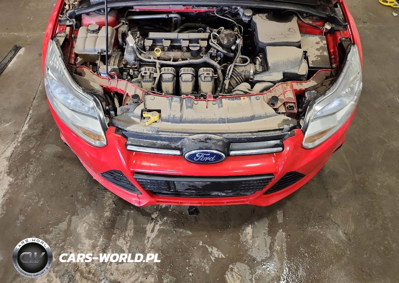 2014 Ford Focus Se VIN:1FADP3F27EL301965 - 11