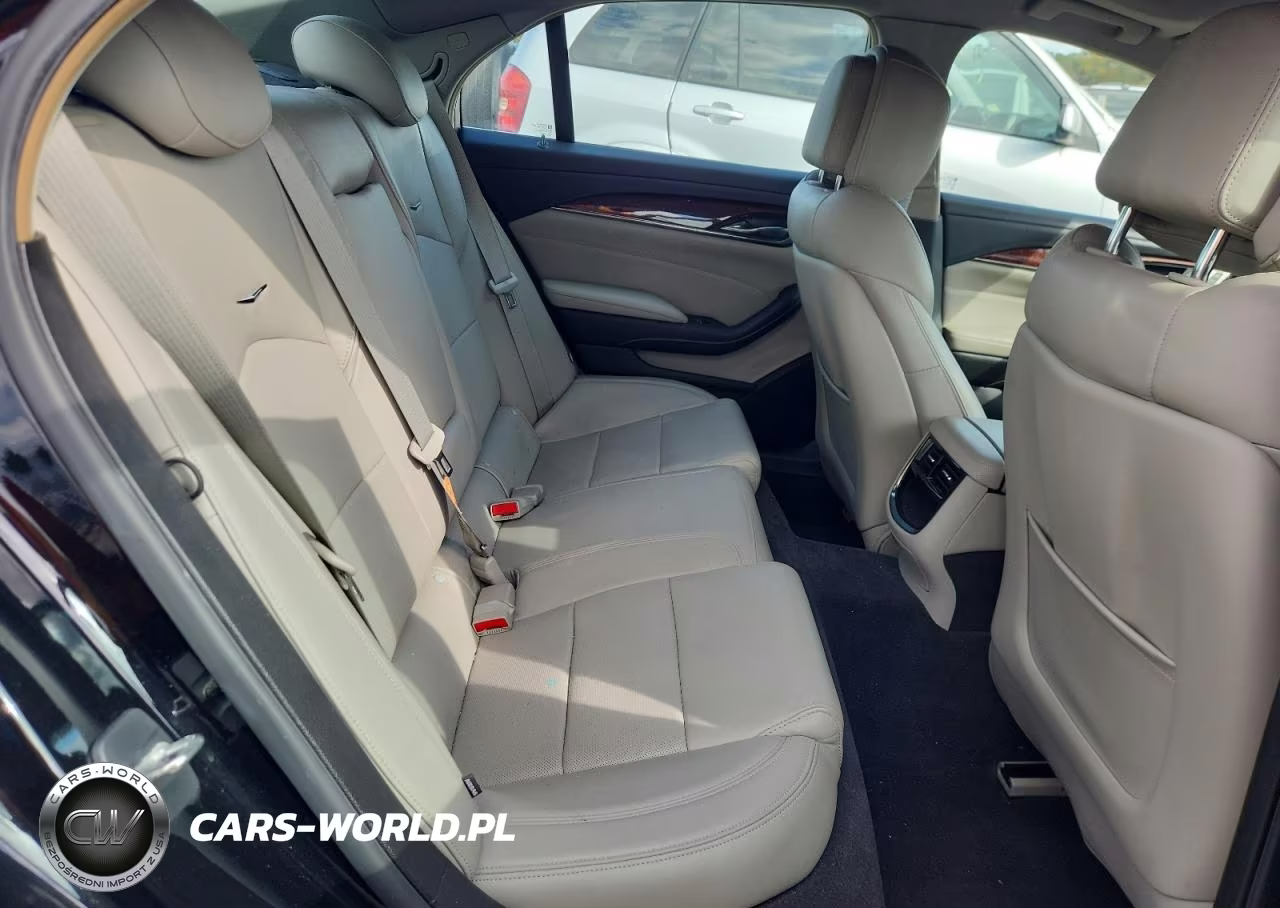 2014 Cadillac Cts Luxury Collection VIN:1G6AX5SX0E0183577 - 10