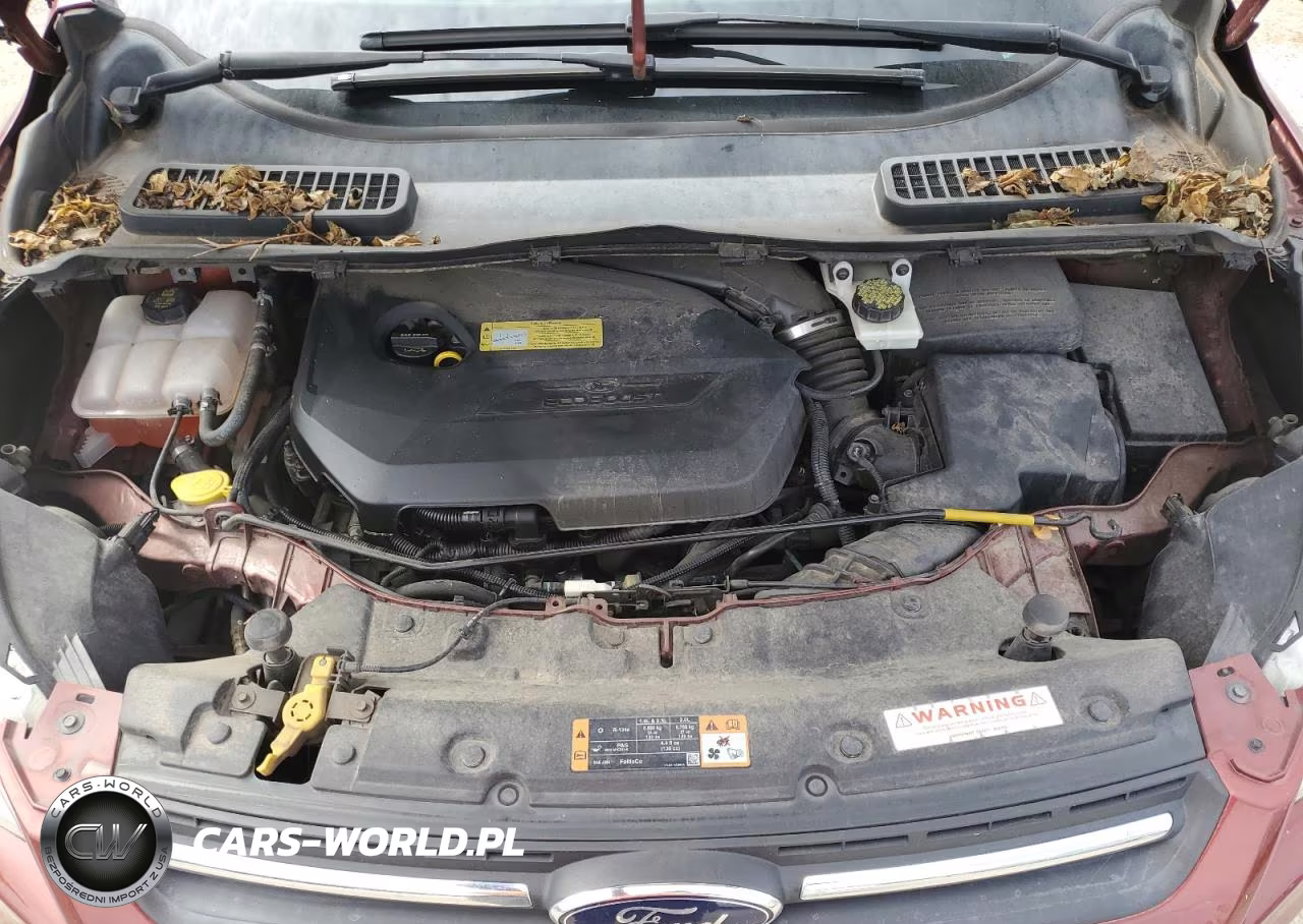 2014 Ford Escape Se VIN:1FMCU9GX1EUB25822 - 12