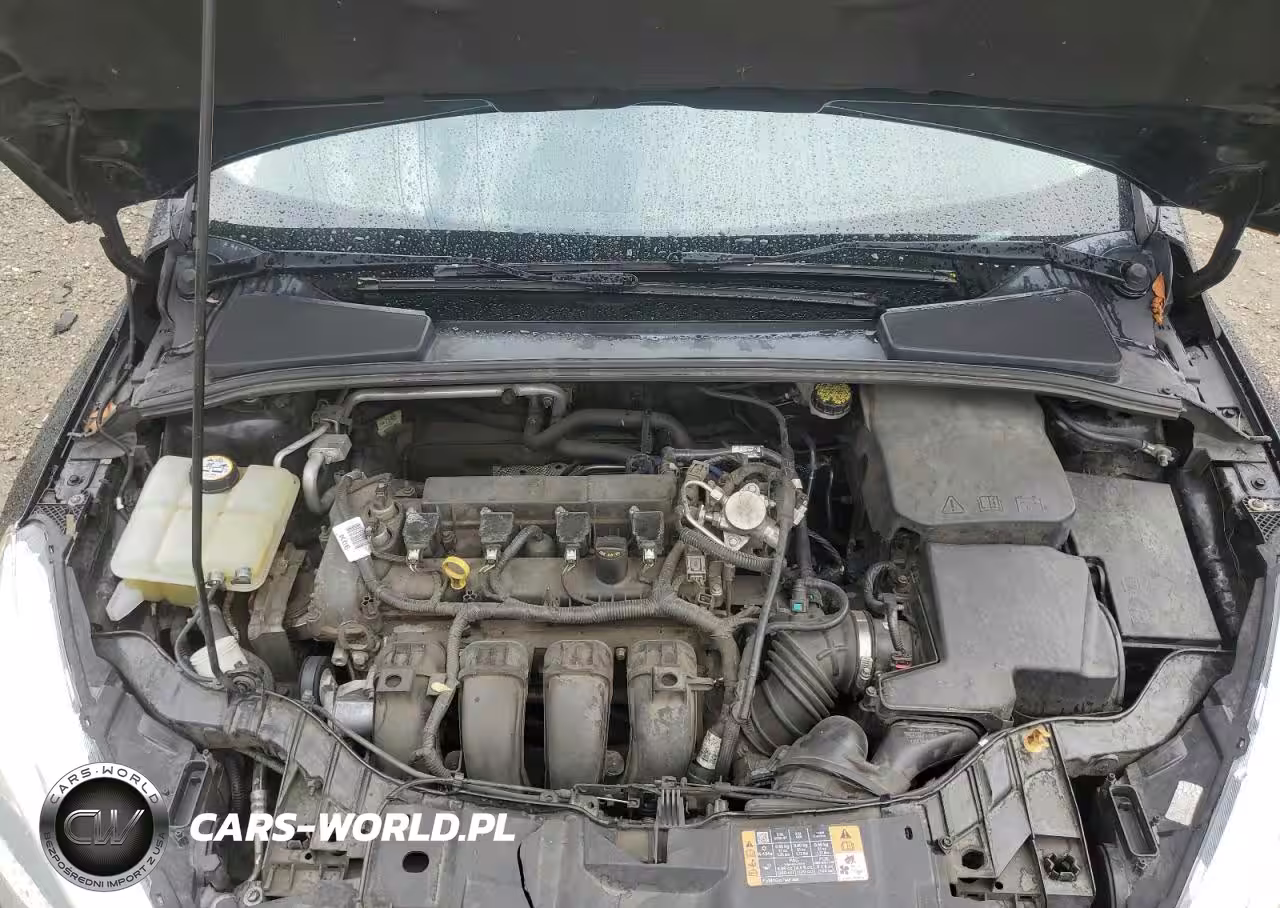 2016 Ford Focus Se VIN:1FADP3F29GL387931 - 11