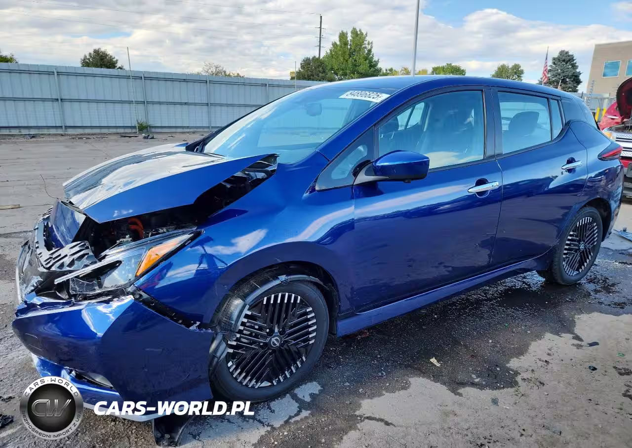 2025 Nissan Leaf Sv Plus