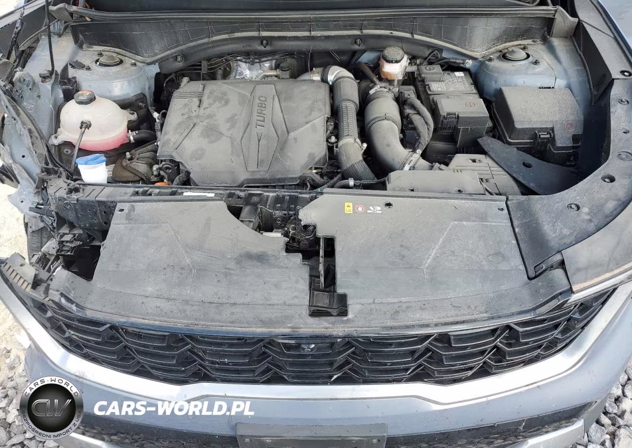 2024 Kia Sorento Sx VIN:5XYRK4JF6RG256582 - 12