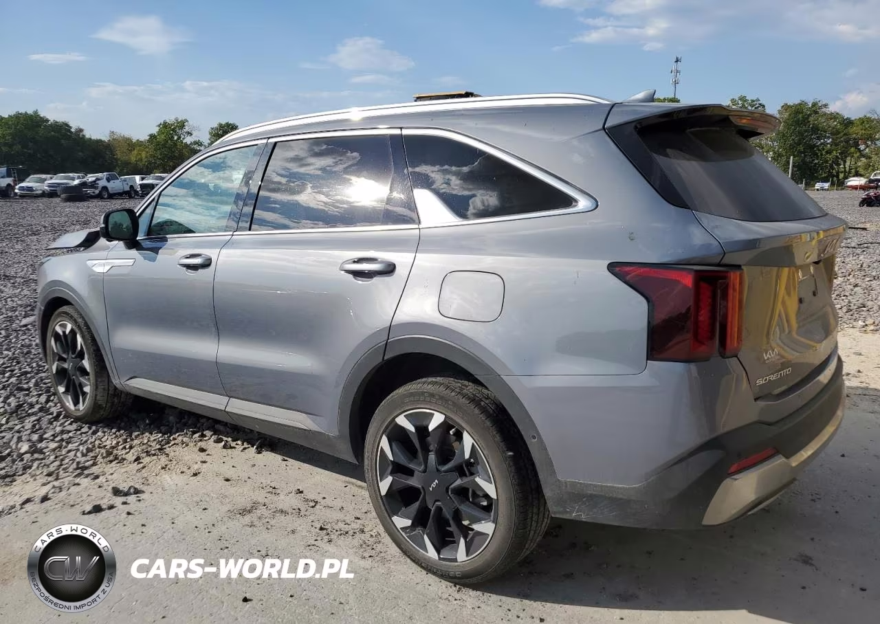 2024 Kia Sorento Sx VIN:5XYRK4JF6RG256582 - 2