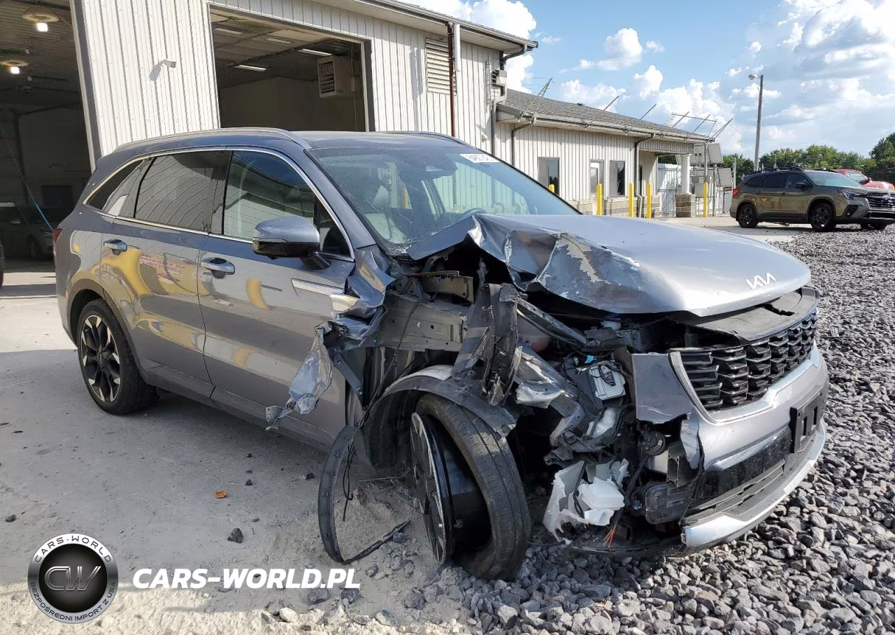 2024 Kia Sorento Sx VIN:5XYRK4JF6RG256582 - 4