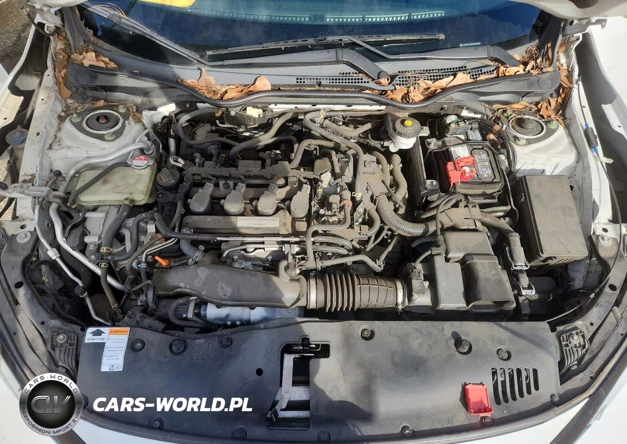2017 Honda Civic Lx VIN:SHHFK7H26HU226249 - 11
