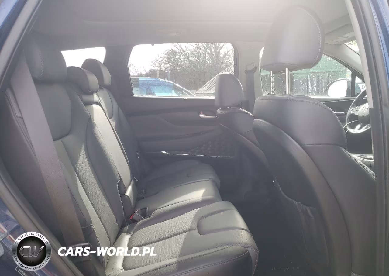 2023 Hyundai Santa Fe Sel Premium VIN:5NMS3DAJ3PH593572 - 11