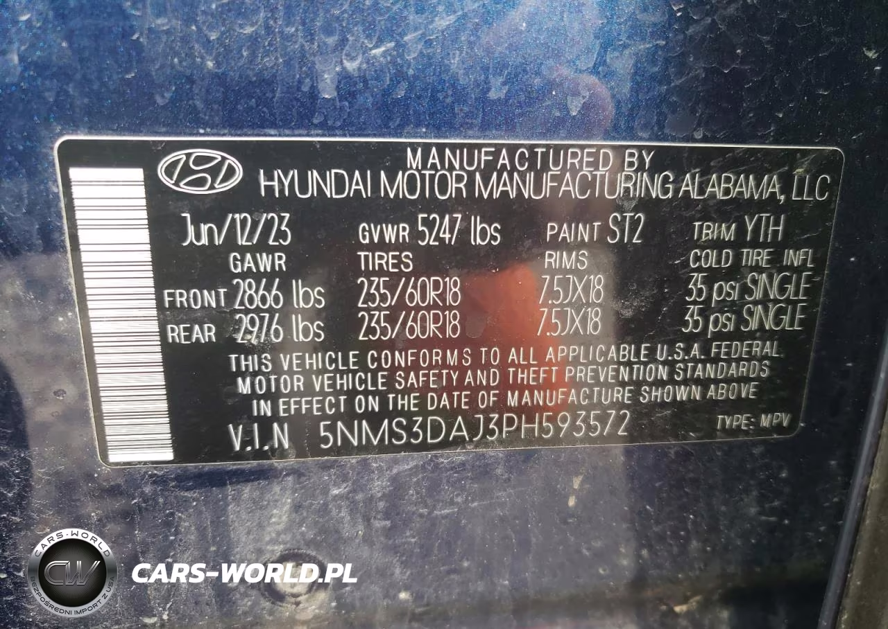 2023 Hyundai Santa Fe Sel Premium VIN:5NMS3DAJ3PH593572 - 13