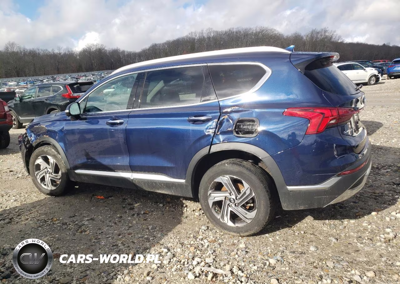 2023 Hyundai Santa Fe Sel Premium VIN:5NMS3DAJ3PH593572 - 2