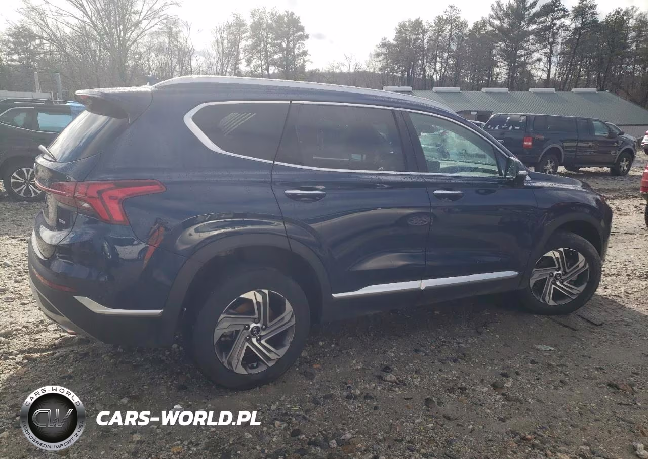 2023 Hyundai Santa Fe Sel Premium VIN:5NMS3DAJ3PH593572 - 3
