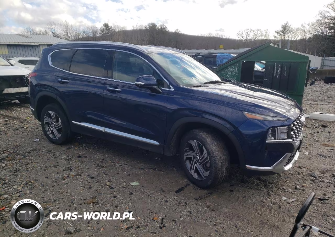 2023 Hyundai Santa Fe Sel Premium VIN:5NMS3DAJ3PH593572 - 4