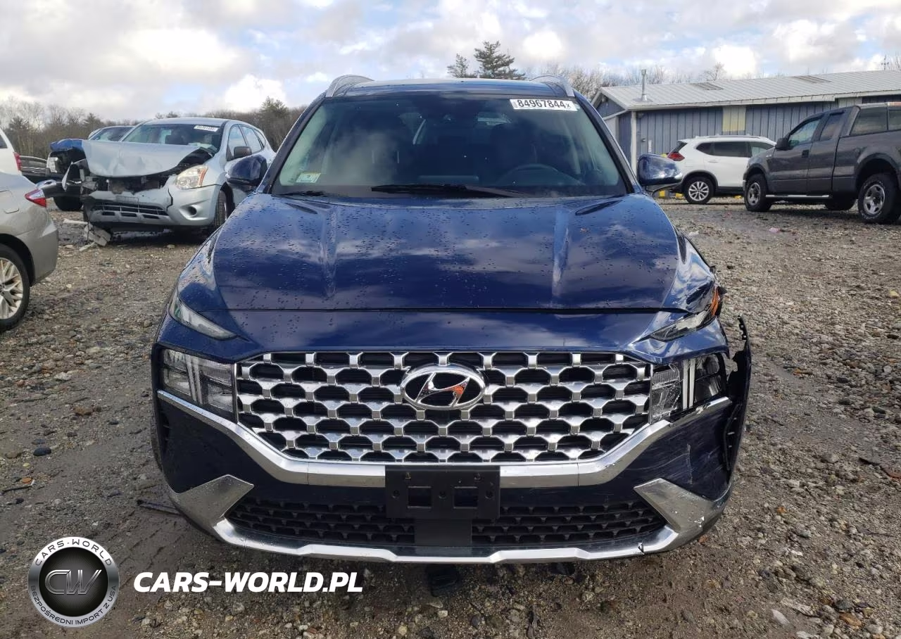 2023 Hyundai Santa Fe Sel Premium VIN:5NMS3DAJ3PH593572 - 5