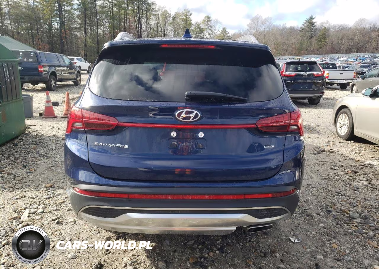 2023 Hyundai Santa Fe Sel Premium VIN:5NMS3DAJ3PH593572 - 6