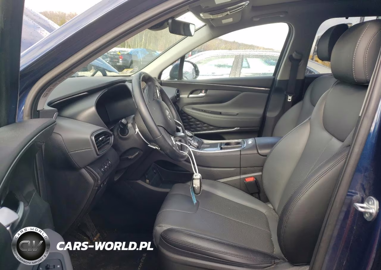 2023 Hyundai Santa Fe Sel Premium VIN:5NMS3DAJ3PH593572 - 7