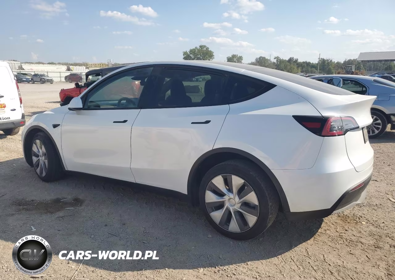 2023 Tesla Model Y VIN:7SAYGDEE5PA144262 - 2