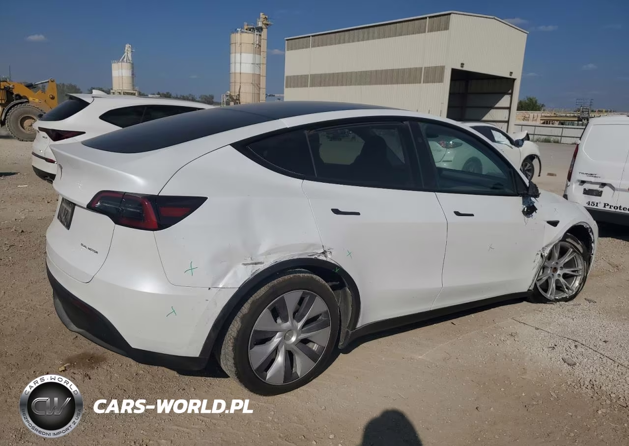2023 Tesla Model Y VIN:7SAYGDEE5PA144262 - 3