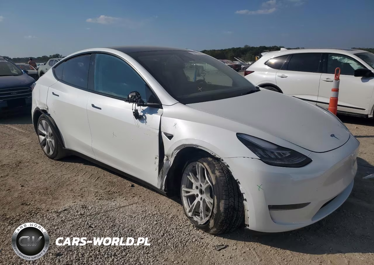 2023 Tesla Model Y VIN:7SAYGDEE5PA144262 - 4