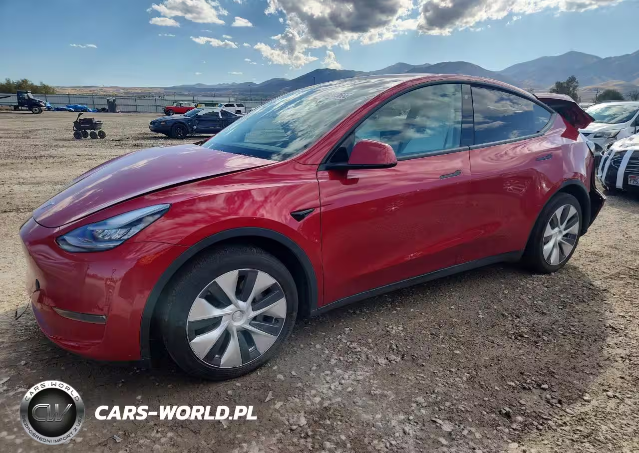 2020 Tesla Model Y