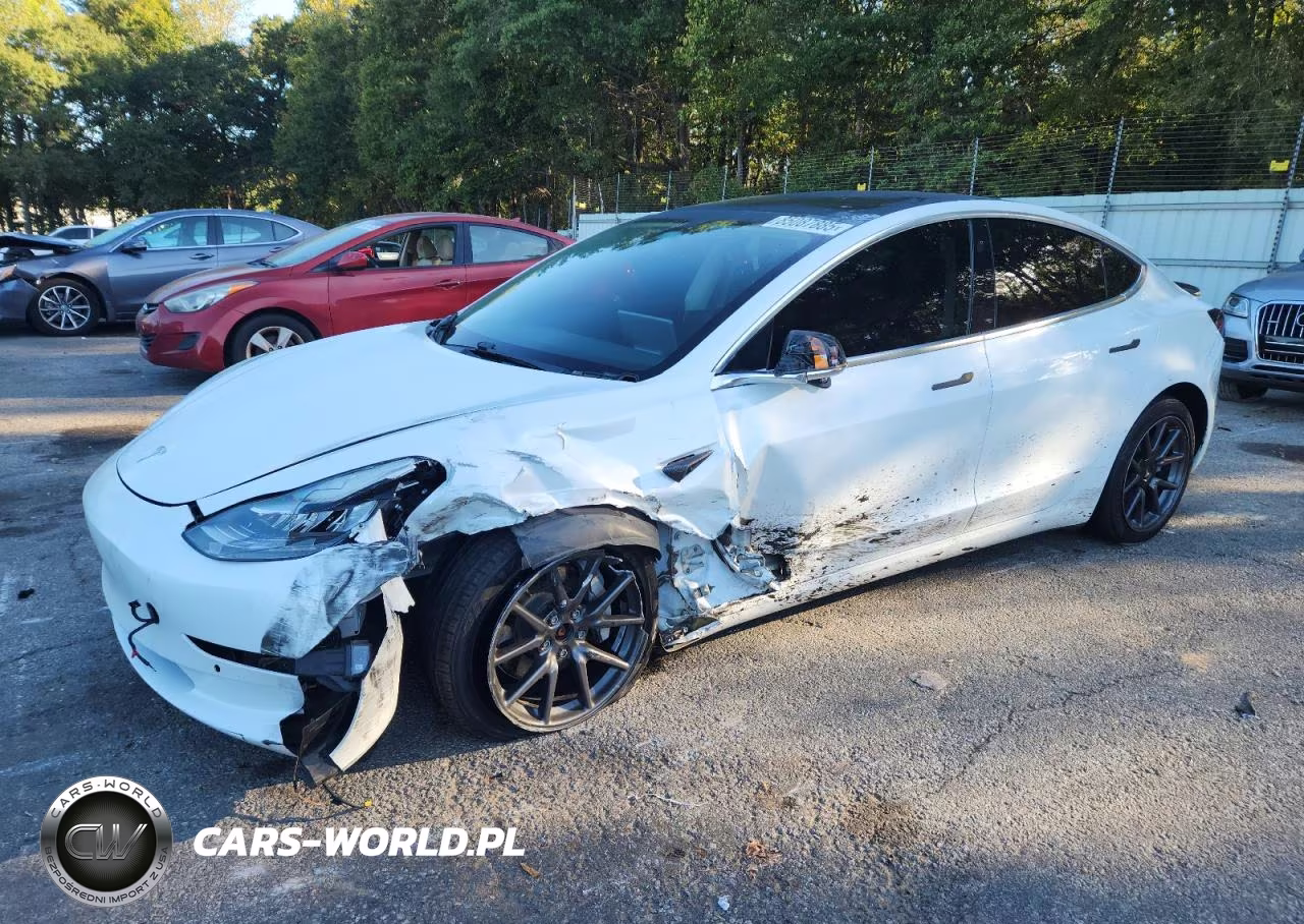 2019 Tesla Model 3