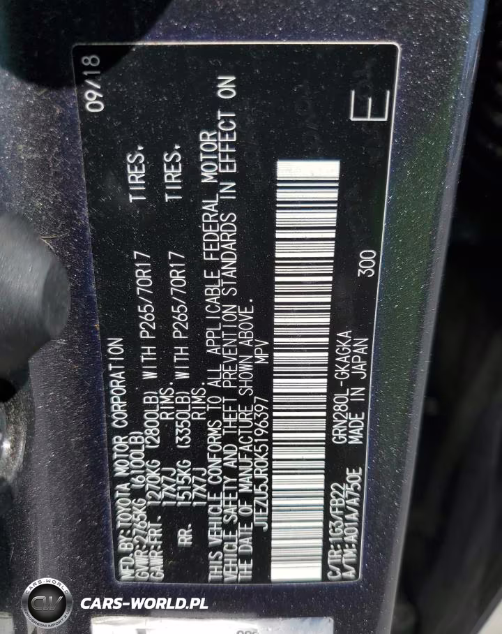 2019 Toyota 4Runner Sr5 VIN:JTEZU5JR0K5196397 - 14