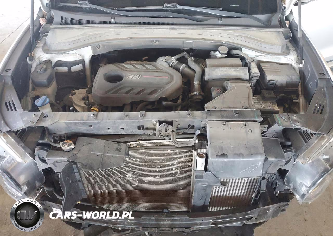 2019 Hyundai Santa Fe Limited VIN:5NMS5CAA1KH103840 - 12