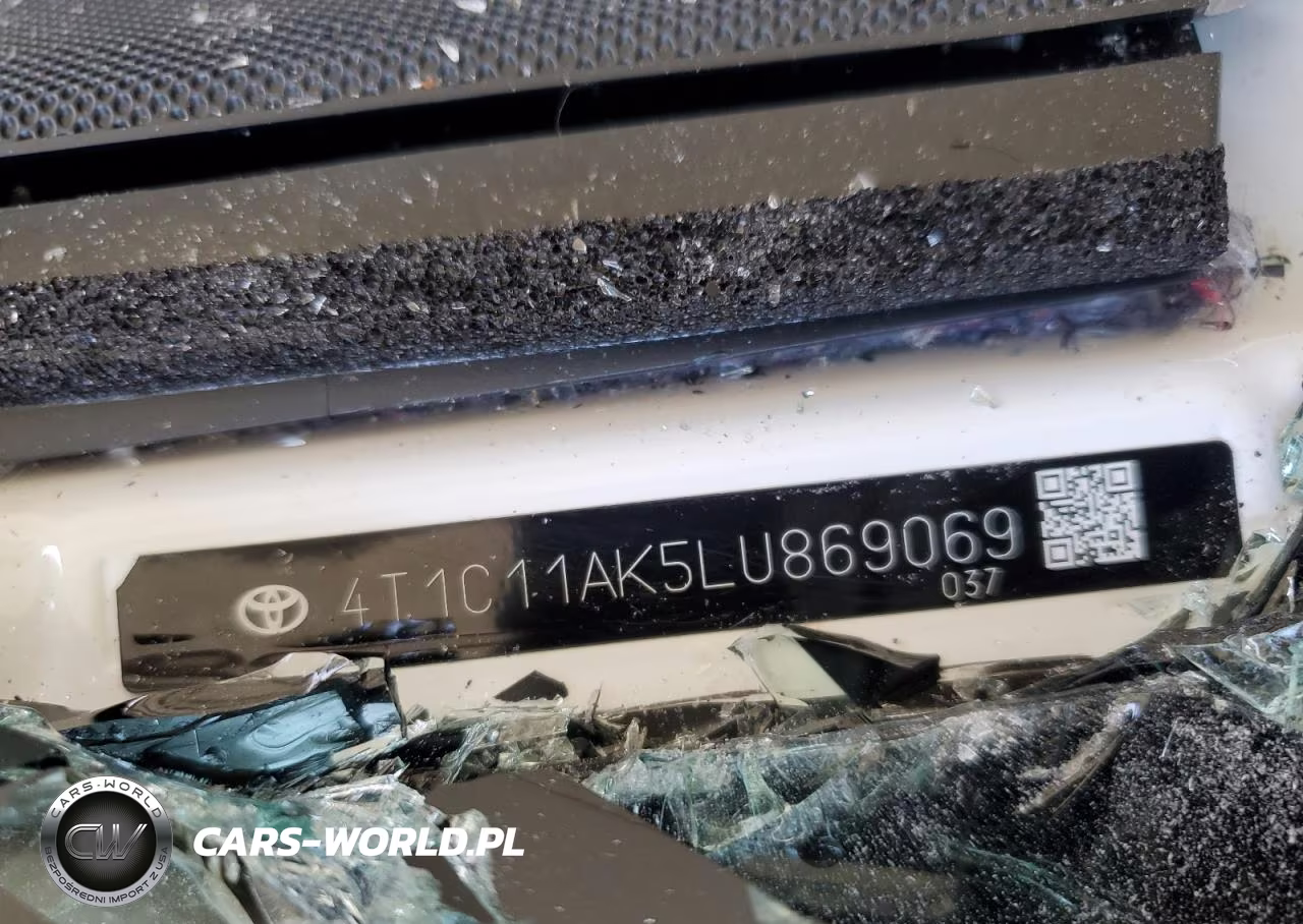 2020 Toyota Camry Le VIN:4T1C11AK5LU869069 - 12