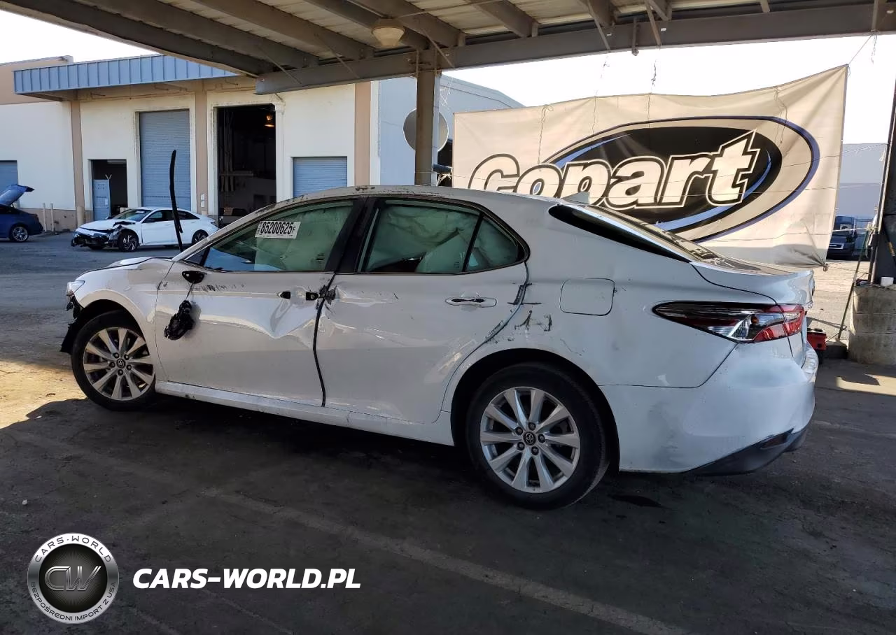 2020 Toyota Camry Le VIN:4T1C11AK5LU869069 - 2