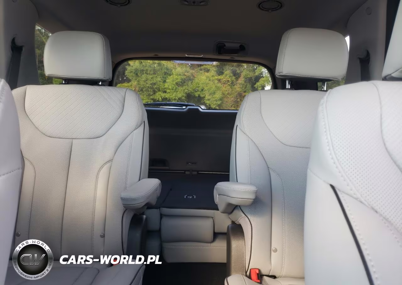 2025 Hyundai Palisade Sel VIN:KM8R2DGE8SU941519 - 10