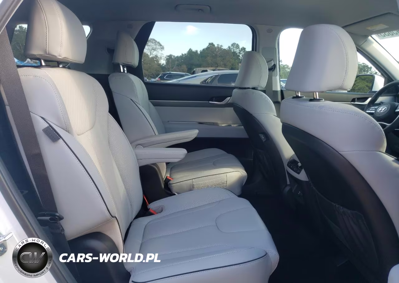 2025 Hyundai Palisade Sel VIN:KM8R2DGE8SU941519 - 11