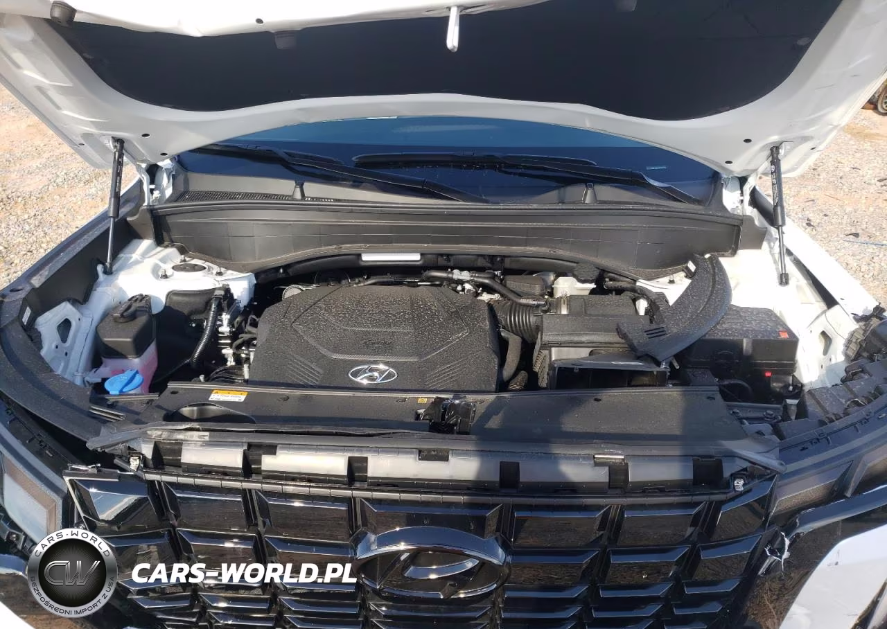 2025 Hyundai Palisade Sel VIN:KM8R2DGE8SU941519 - 12