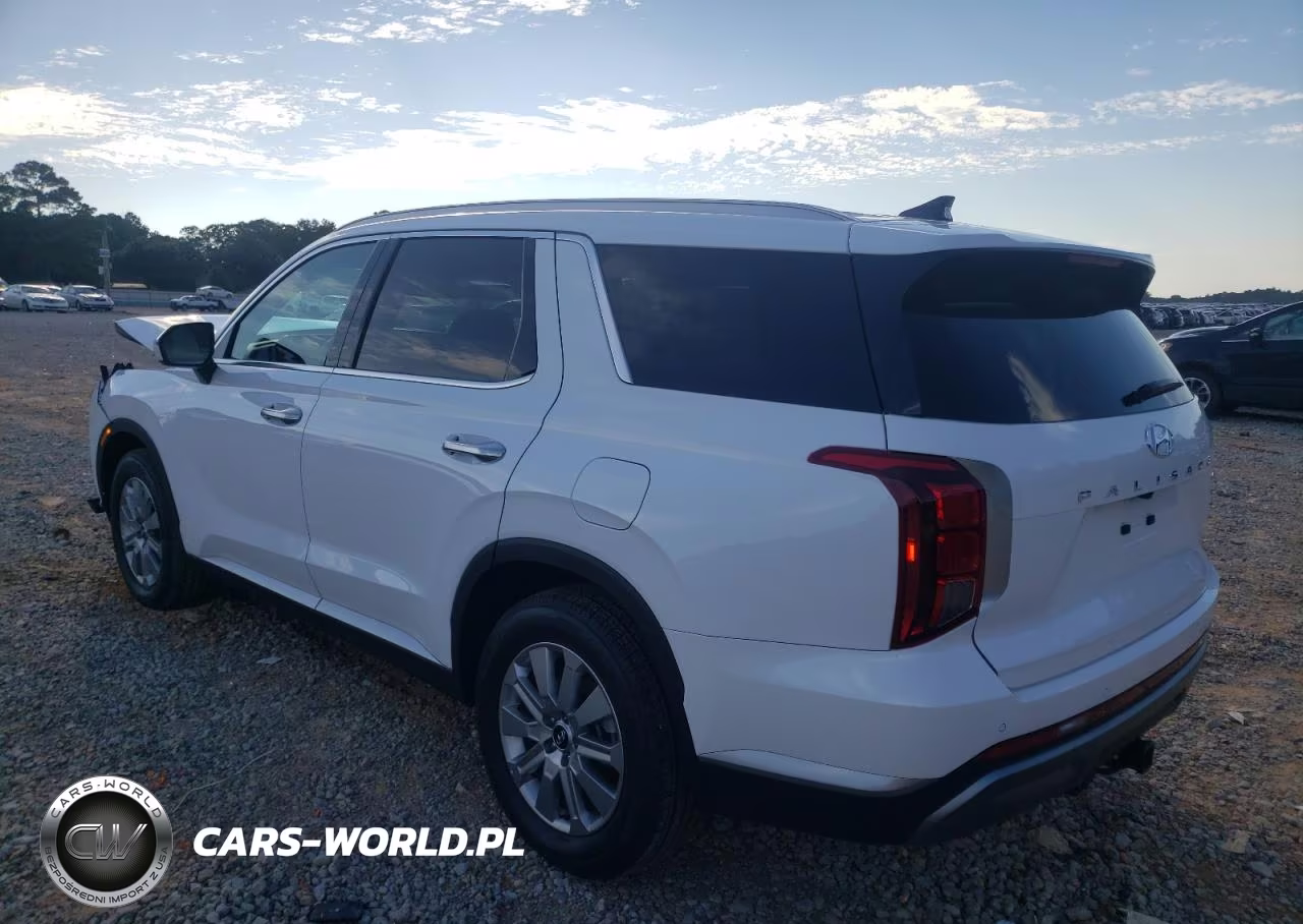 2025 Hyundai Palisade Sel VIN:KM8R2DGE8SU941519 - 2
