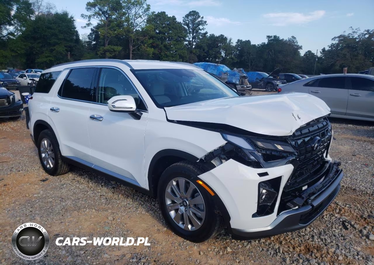 2025 Hyundai Palisade Sel VIN:KM8R2DGE8SU941519 - 4