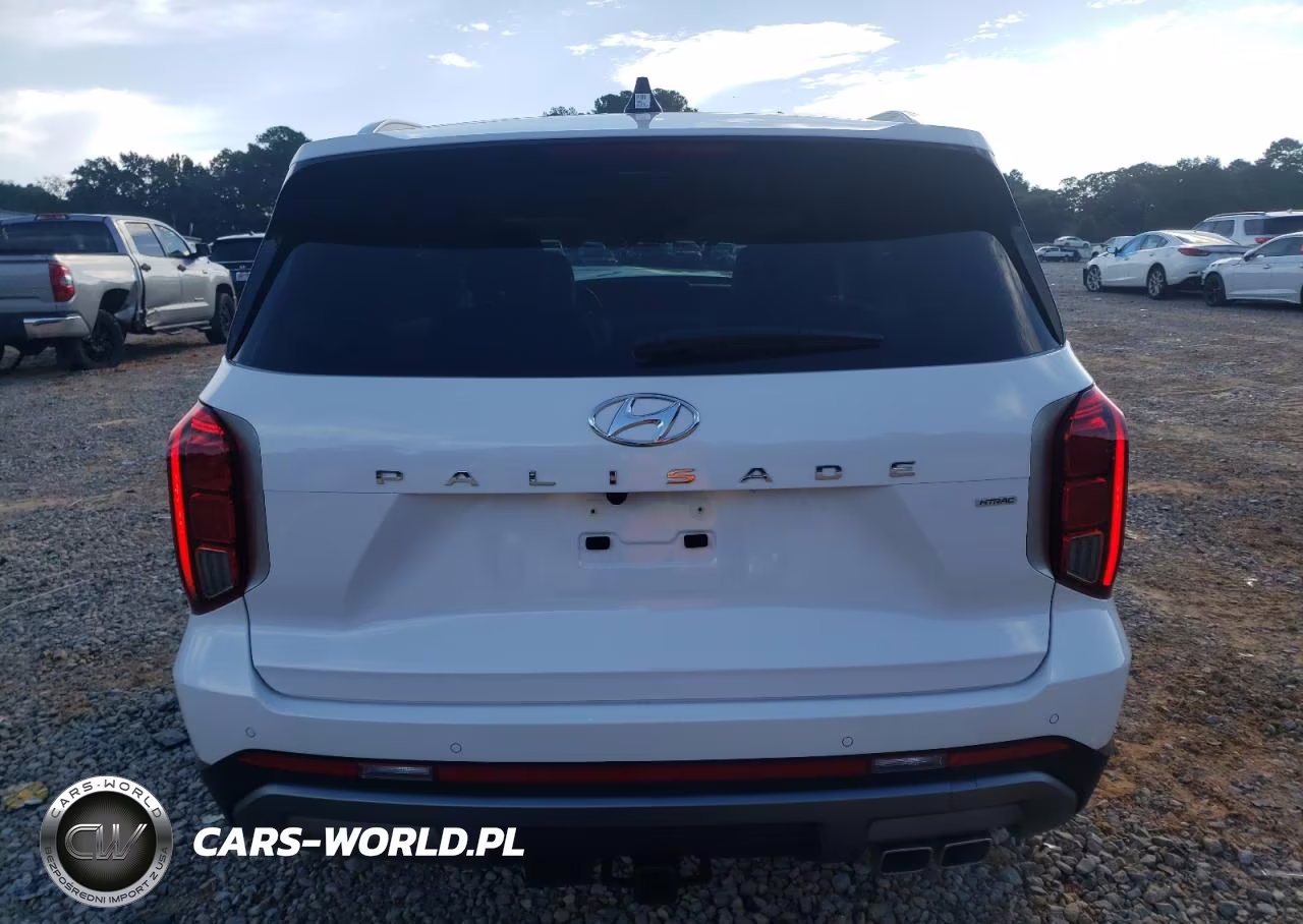 2025 Hyundai Palisade Sel VIN:KM8R2DGE8SU941519 - 6