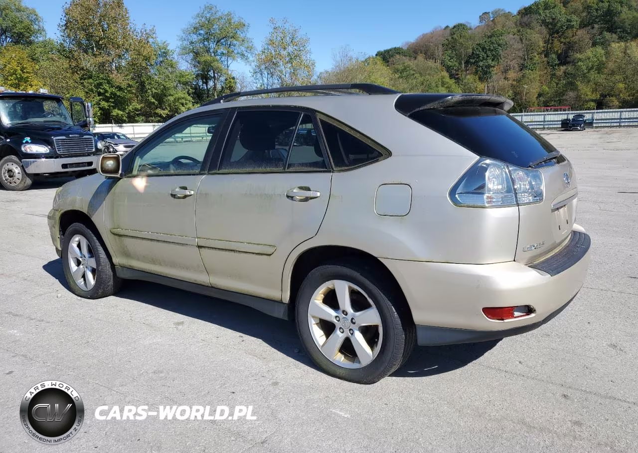 2006 Lexus Rx 330 VIN:JTJGA31U960065644 - 2