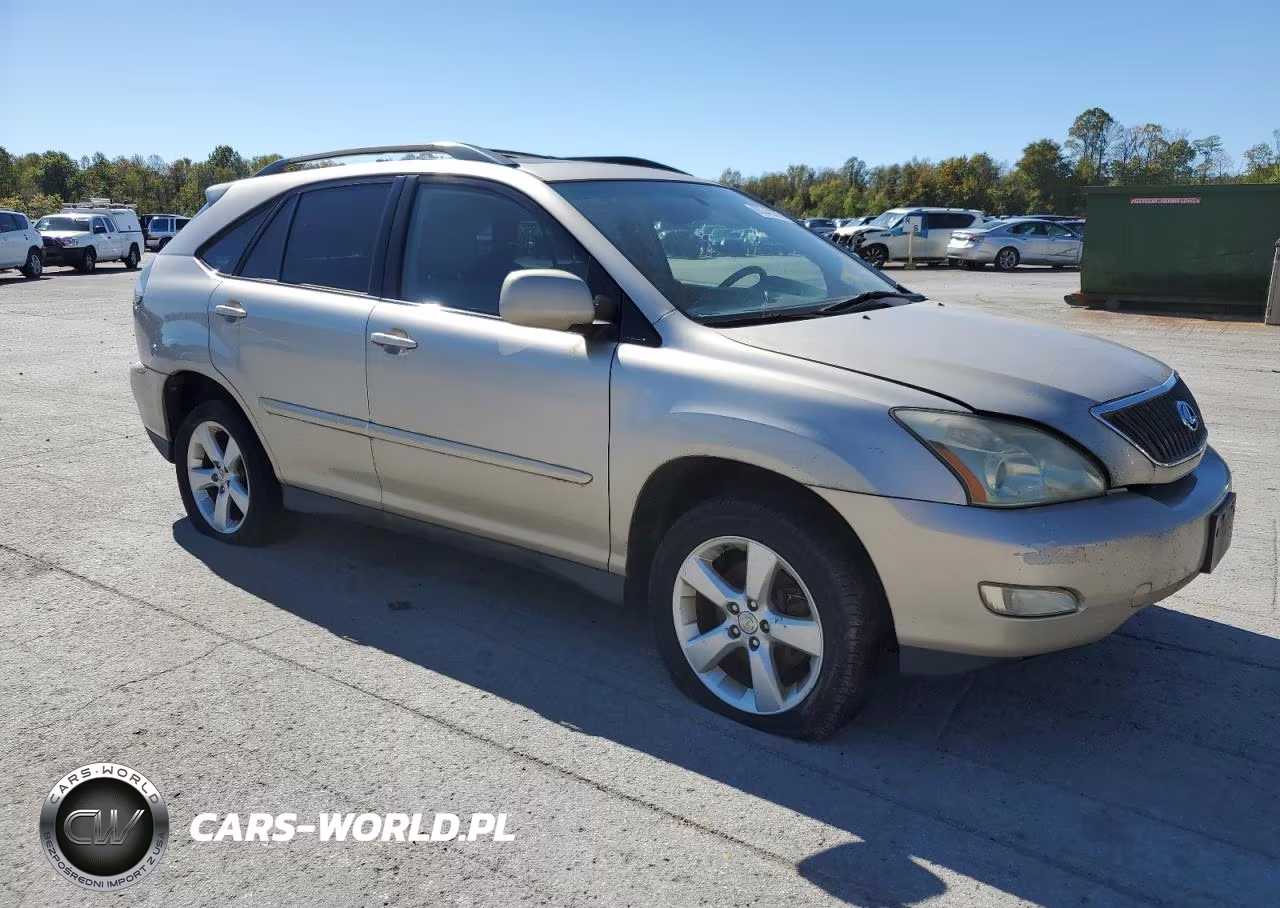 2006 Lexus Rx 330 VIN:JTJGA31U960065644 - 4