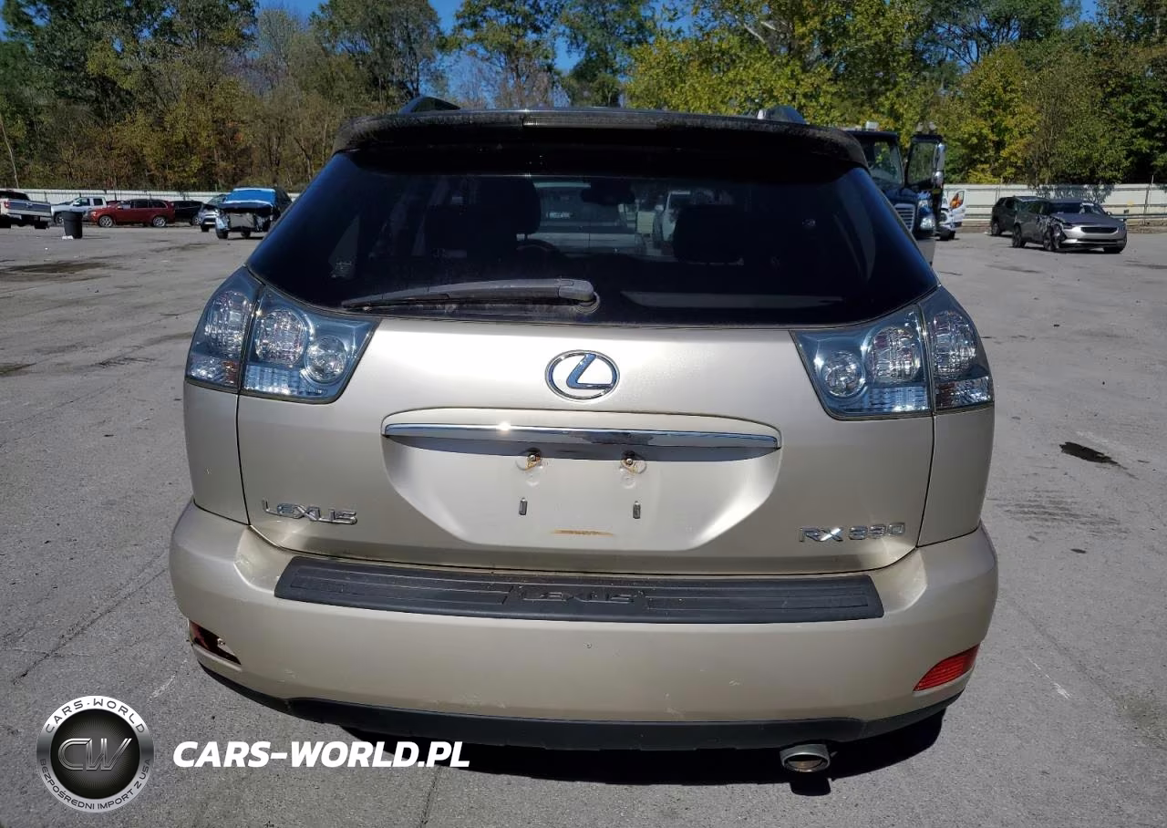 2006 Lexus Rx 330 VIN:JTJGA31U960065644 - 6