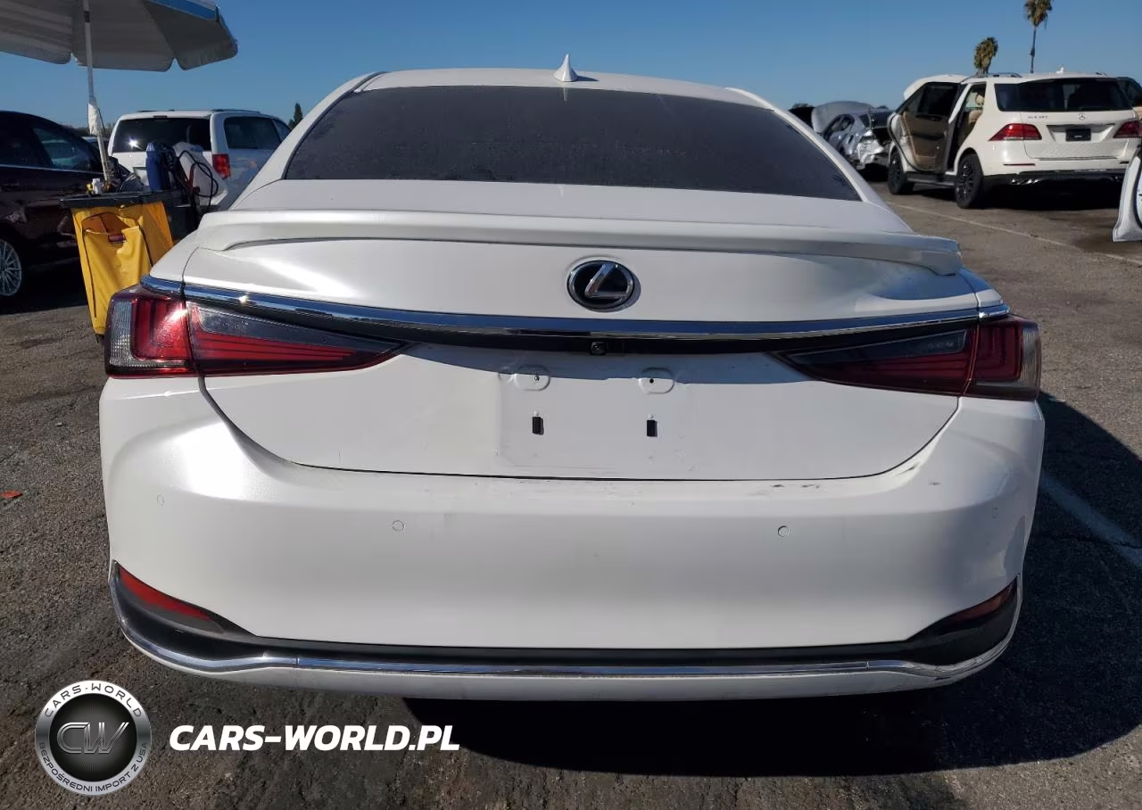 2024 Lexus Es 300H Base VIN:58ADA1C17RU037727 - 6