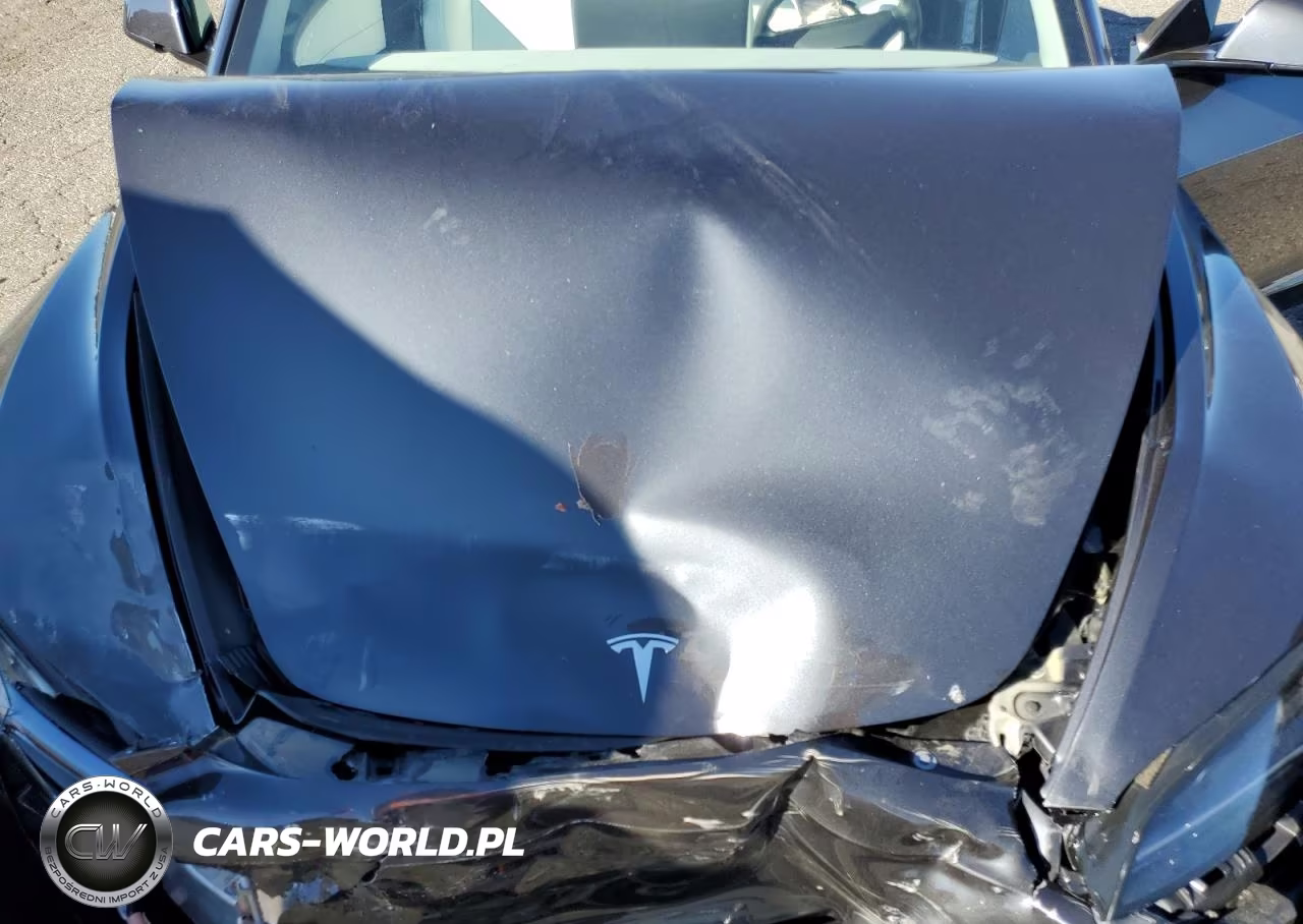 2025 Tesla Model 3 VIN:5YJ3E1EA9SF943076 - 11