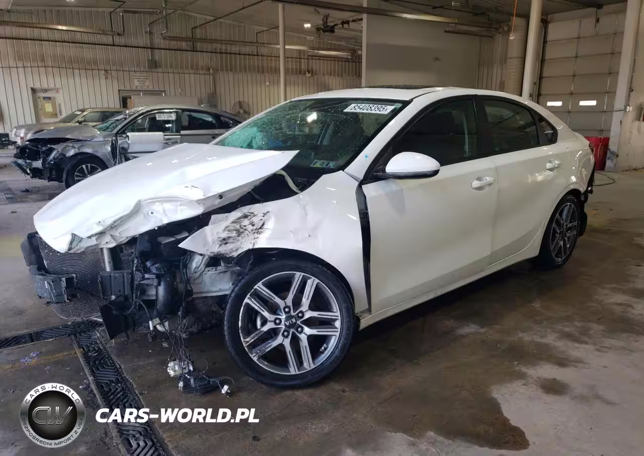 2019 Kia Forte Gt Line