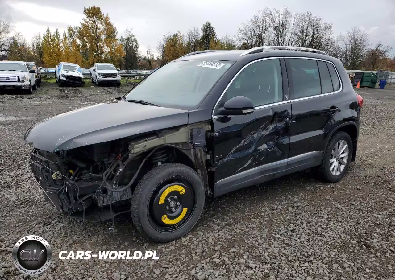2017 Volkswagen Tiguan Wolfsburg