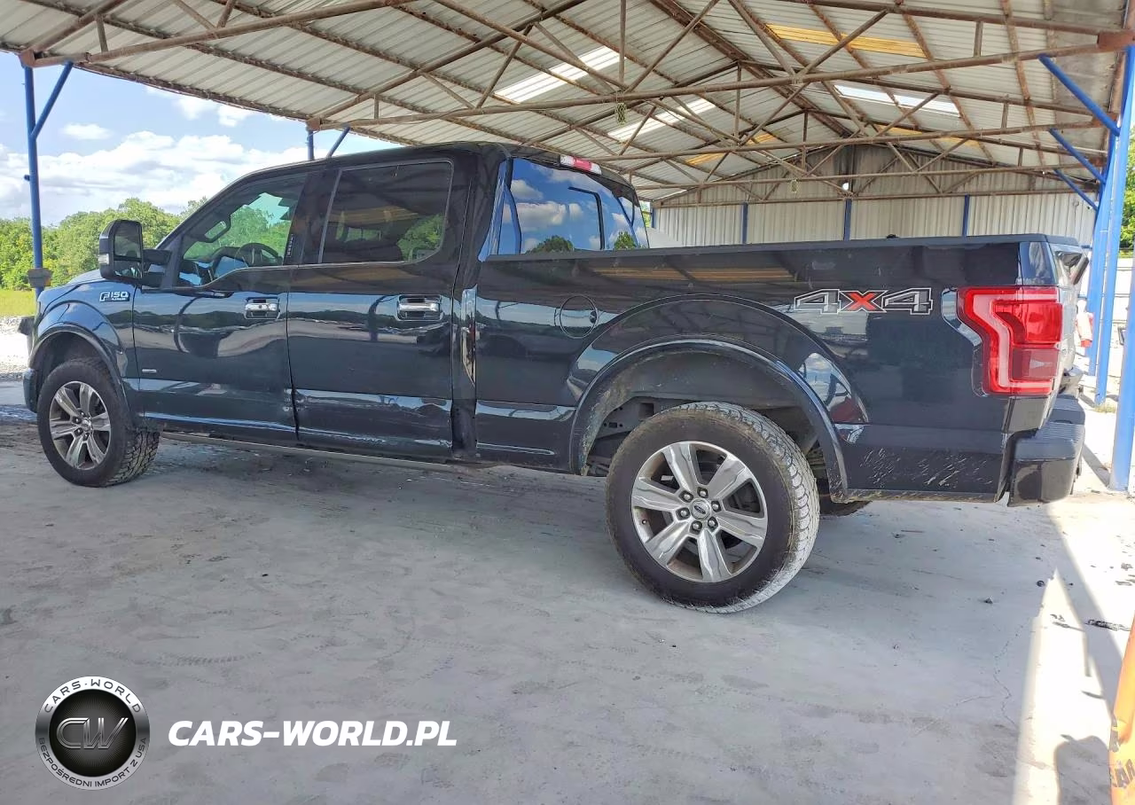 2016 Ford F150 Supercrew VIN:1FTFW1EG0GFD25033 - 2