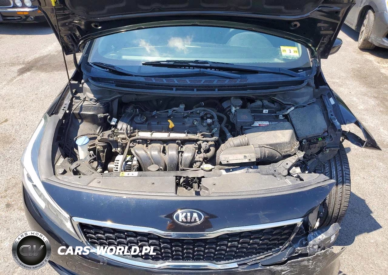 2018 Kia Forte Lx VIN:3KPFL4A79JE257087 - 11