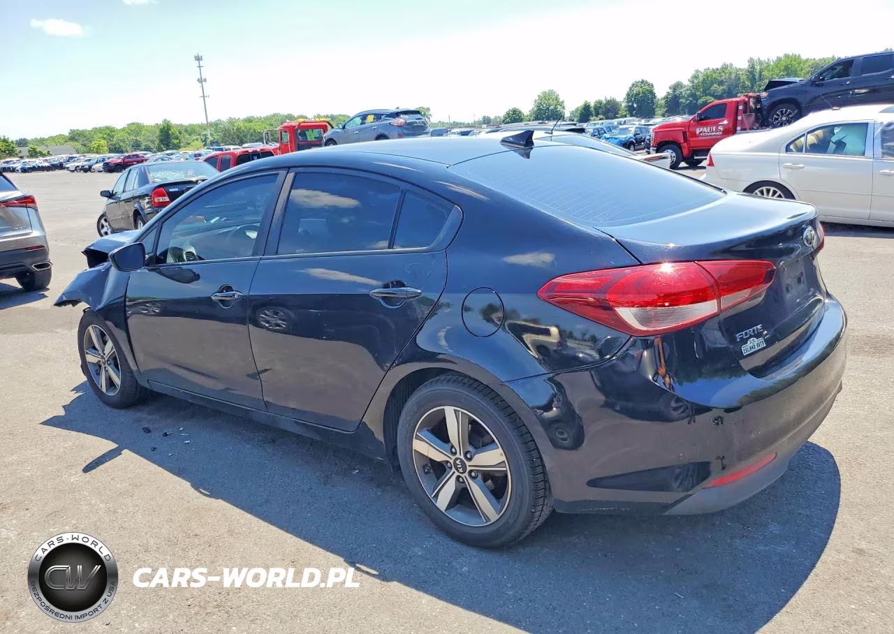 2018 Kia Forte Lx VIN:3KPFL4A79JE257087 - 2